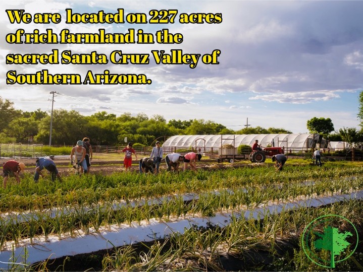 #ecovillage #sustainability #growyourownfood